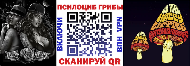 Купить закладки  Кохма  Псилоцибиновые грибы MAGIC MUSHROOMS 